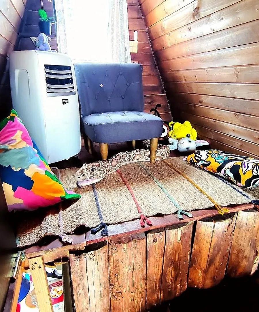 Tiny Garden House Villa Prag